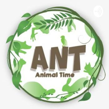 ANT (Animal Time)