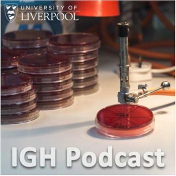 The IGH Podcast