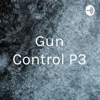 Gun Control P3