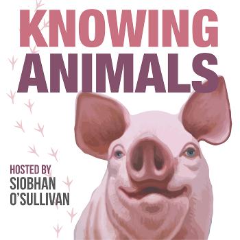 Knowing Animals