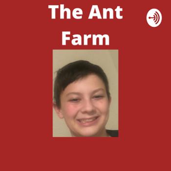 The Ant Farm